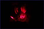 2006_095