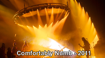 Comfortably Numb